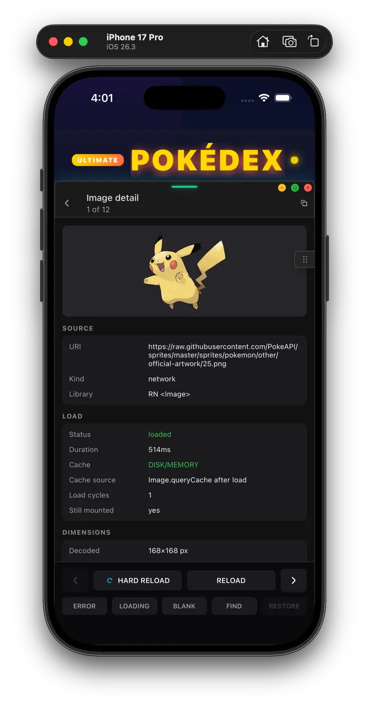 Image detail view with source, load, and cache information