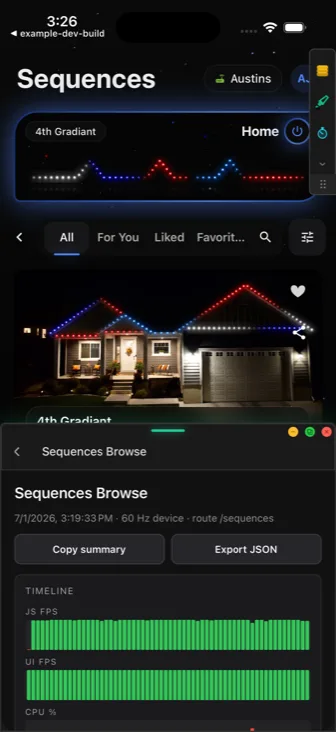 Frame-by-frame performance timeline